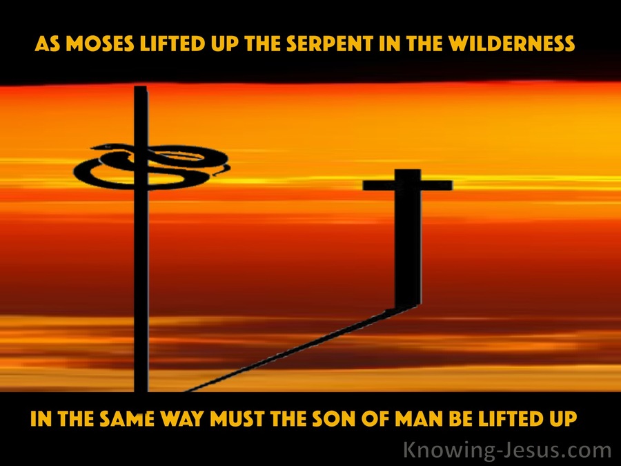 John 3:14 As Moses Lifted Up The Serpent In The Wilderness (orange)